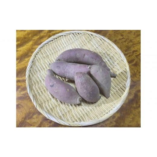 ふるさと納税 野菜類 サツマイモ 北海道 美唄市 北海道産自然栽培のさつまいも1キロ シルクスイート