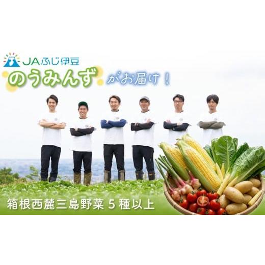 ふるさと納税 トマト ミニトマト 静岡県 三島市 予約受付中 のうみんず 野菜詰め合わせ 5種以上 とうもろこし ミニトマト 馬鈴薯 葉生姜 ロメインレタス ヤン…