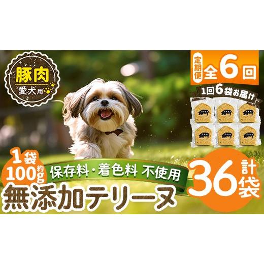ふるさと納税 肉 鹿児島県 姶良市 a1056-E 6回定期便 保存料・着色料 不使用 愛犬用無添加豚テリーヌ6袋×6回(1袋約100g・合計約3.6kg) Nフードサービス 姶良…