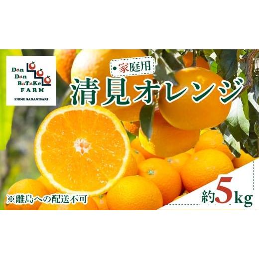 ふるさと納税 果物類 みかん 愛媛県 伊方町 先行予約 家庭用 清見オレンジ 約5kg | 柑橘 みかん 果物 フルーツ 愛媛県産 農家直送 離島への配送不可 2026…