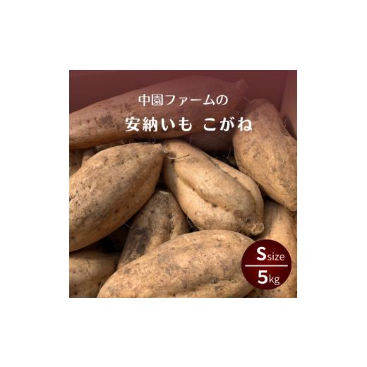 ふるさと納税 野菜類 サツマイモ 鹿児島県 西之表市 種子島 安納いも こがね ( 生芋 ) S サイズ 5kg NFN644 300pt // 安納芋 安納いも発祥の地 本場・安納…