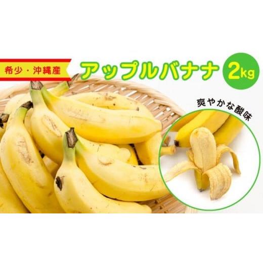 ふるさと納税 果物類 沖縄県 南城市 アップルバナナ2kg 約2kg