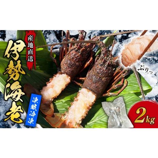 ふるさと納税 魚貝類 高知県 室戸市  訳あり 伊勢海老 冷凍 2kg わけあり いせえび 海老 えび エビ イセエビ 冬眠冷凍 家庭用 海鮮 鮮度 産地直送 漁師直送 刺…の画像