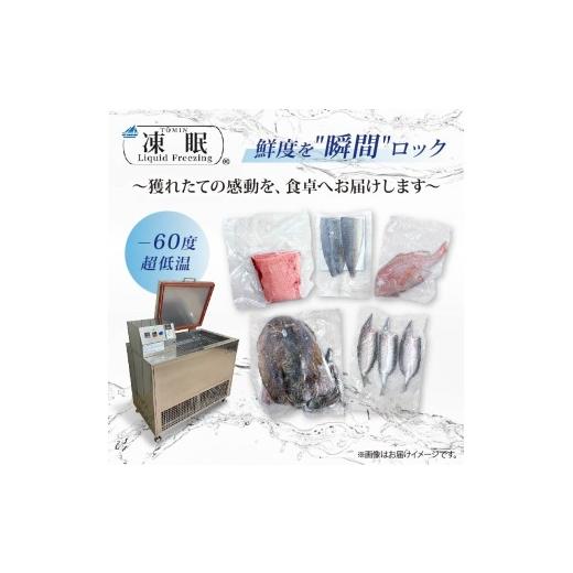 ふるさと納税 魚貝類 高知県 室戸市  訳あり 伊勢海老 冷凍 2kg わけあり いせえび 海老 えび エビ イセエビ 冬眠冷凍 家庭用 海鮮 鮮度 産地直送 漁師直送 刺…の画像