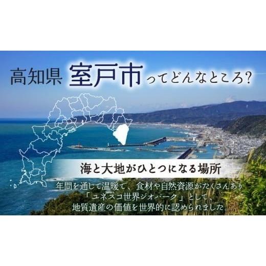 ふるさと納税 魚貝類 高知県 室戸市  訳あり 伊勢海老 冷凍 2kg わけあり いせえび 海老 えび エビ イセエビ 冬眠冷凍 家庭用 海鮮 鮮度 産地直送 漁師直送 刺…の画像