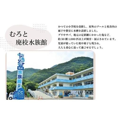 ふるさと納税 魚貝類 高知県 室戸市  訳あり 伊勢海老 冷凍 2kg わけあり いせえび 海老 えび エビ イセエビ 冬眠冷凍 家庭用 海鮮 鮮度 産地直送 漁師直送 刺…の画像