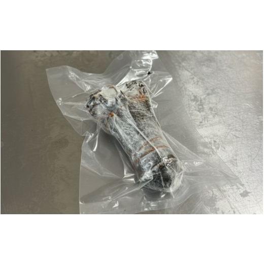 ふるさと納税 魚貝類 高知県 室戸市  訳あり 伊勢海老 冷凍 2kg わけあり いせえび 海老 えび エビ イセエビ 冬眠冷凍 家庭用 海鮮 鮮度 産地直送 漁師直送 刺…の画像