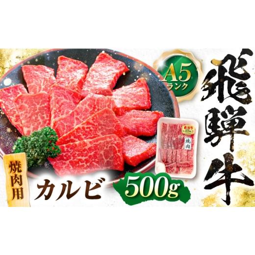 ふるさと納税 牛肉 焼肉・バーベキュー 岐阜県 岐阜市 飛騨牛 A5等級 焼肉用 カルビ 500g カルビ カルビ焼肉 カルビ肉 焼肉 焼き肉 やきにく 焼肉セット 焼肉…