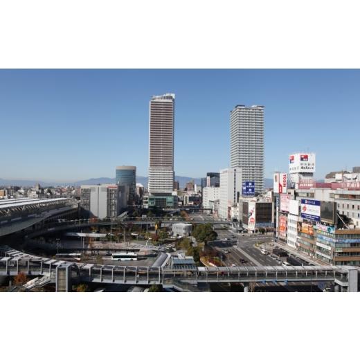 ふるさと納税 地域のお礼の品 岐阜県 岐阜市 飛騨牛 A5等級 すきやき用 モモ・カタ 500g モモ もも肉 カタ 赤身 すき焼き すきやき すき焼き肉 すき焼き用 す… |  | 08