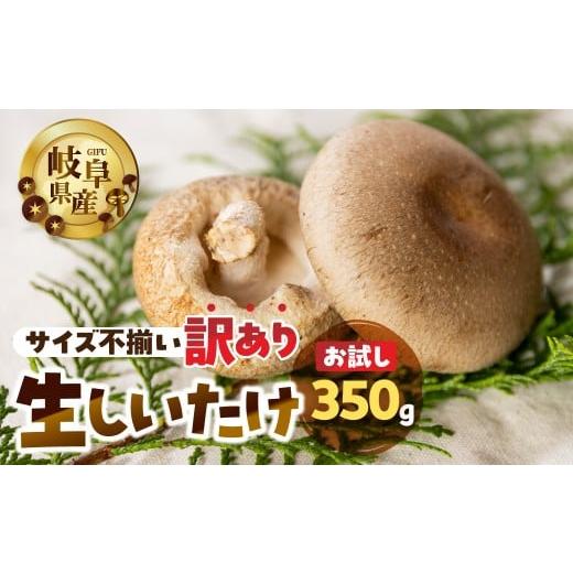 ふるさと納税 野菜類 きのこ 岐阜県 本巣市 訳あり 生しいたけ 約 350g お試し サイズ 混合 不揃い おまかせ 簡易梱包 訳あり 訳アリ BBQ 野菜 栽培期間中 農…