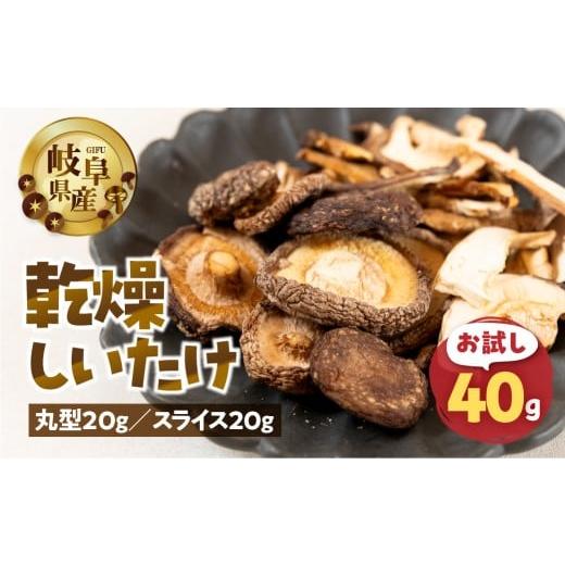 ふるさと納税 野菜類 きのこ 岐阜県 本巣市 お試し 乾燥 しいたけ 約 40g お試し サイズ 混合 不揃い おまかせ 簡易梱包 訳あり 訳アリ BBQ 野菜 栽培期間中 …