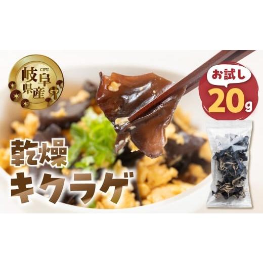 ふるさと納税 野菜類 きのこ 岐阜県 本巣市 お試し 乾燥 キクラゲ 約 20g メール便 サイズ 混合 不揃い おまかせ 簡易梱包 訳あり 訳アリ 料理 野菜 栽培期間…