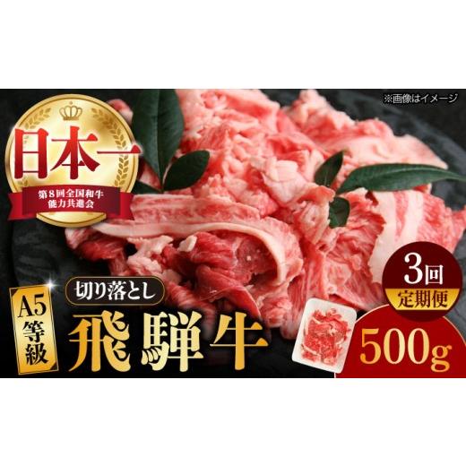 ふるさと納税 牛肉 カレー・シチュー 岐阜県 多治見市 3回定期便 飛騨牛 A5等級 切り落とし 500g × 3回 (計1.5kg) 和牛 ブランド牛 国産 牛肉 多治見市 / …