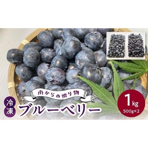 ふるさと納税 果物類 鹿児島県 南九州市 115-10 冷凍ブルーベリー1kg