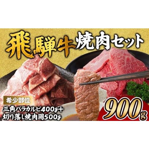ふるさと納税 牛肉 セット 岐阜県 瑞穂市 飛騨牛 焼肉セット|牛 牛肉 国産 和牛 焼肉 切り落とし 訳アリ わけあり 飛騨牛訳あり BBQ バーベキュー 牛肉飛騨…