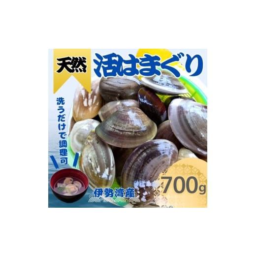 ふるさと納税 しじみ・あさり・蛤 蛤(はまぐり) 愛知県 美浜町 天然 はまぐり 700g | 活はまぐり 天然はまぐり 蛤 ハマグリ 伊勢湾 天然 活 冷蔵 魚介 魚貝 …