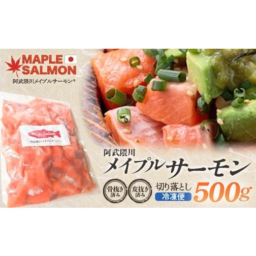 ふるさと納税 魚貝類 サーモン 福島県 西郷村 阿武隈川メイプルサーモン 切り落とし500g 1袋