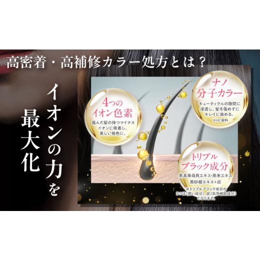 ふるさと納税 美容 福岡県 糸島市 ミルキーベージュ 色が選べる