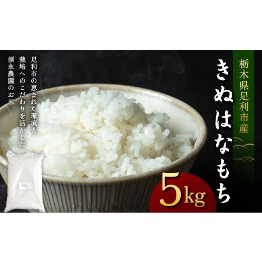 ふるさと納税 米・パン もち米 栃木県 足利市 令和7年産 もち米 栃木県足利市産 きぬはなもち5kg もち米 餅 米 こめ 食品 栃木県 足利市