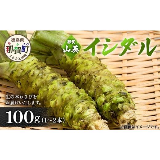 ふるさと納税 野菜類 薬味 徳島県 那賀町 那賀わさび (イシダル) 約100g 1〜2本 徳島県 那賀町 生産者直送 産地直送 本わさび わさび ワサビ 生わさび 山葵 …