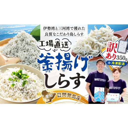 ふるさと納税 魚貝類 愛知県 南知多町 訳あり 釜揚げ しらす 350g 減塩 日間賀島 冷凍 丸豊 順次発送 350g:5,000円