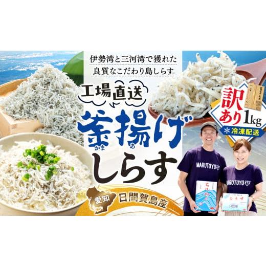 ふるさと納税 魚貝類 愛知県 南知多町 訳あり 釜揚げ しらす 1kg 減塩 日間賀島 冷凍 丸豊 [1番人気 ]順次発送 1kg:9,000円