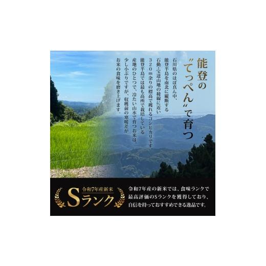 ふるさと納税 米 コシヒカリ 石川県 羽咋市  先行予約 令和8年産 新米 コシヒカリ 5kg 6回 定期便 もっちり 甘み 数量限定 精米 神子原てっぺん米 こだわり 食…_2