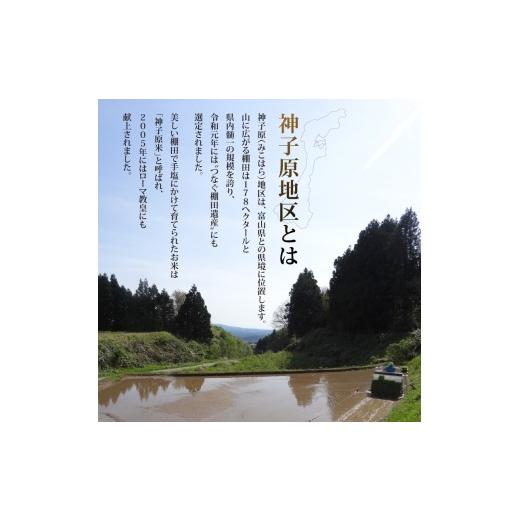 ふるさと納税 米 コシヒカリ 石川県 羽咋市  先行予約 令和8年産 新米 コシヒカリ 5kg 6回 定期便 もっちり 甘み 数量限定 精米 神子原てっぺん米 こだわり 食…_3