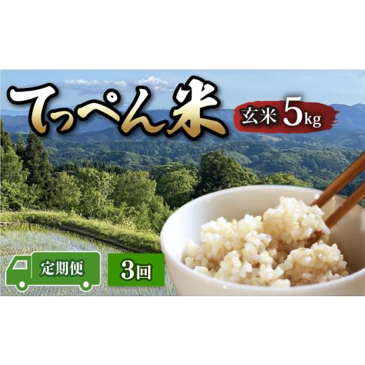ふるさと納税 米 コシヒカリ 石川県 羽咋市 定期便 数量限定 こしひかり 玄米 5kg 3回 神子原 てっぺん米 計 15kg 令和7年産 こだわり もっちり 甘み 食味ラン…