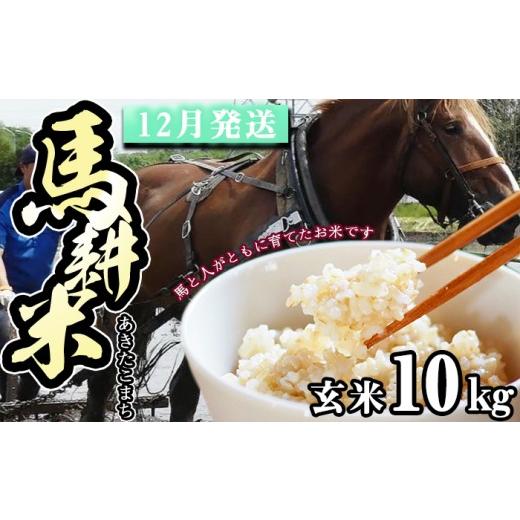 ふるさと納税 玄米 岩手県 滝沢市 2026年 12月中旬より発送 岩手県産 馬耕米 あきたこまち 玄米 10kg スタディア 新米 お米 米 こめ コメ 馬ふん堆肥 使用 ご…
