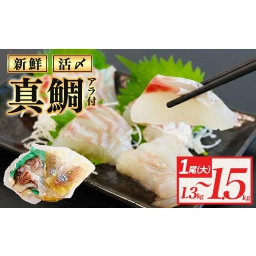 ふるさと納税 魚貝類 鯛 三重県 南伊勢町 真鯛 タイ 半身 (アラ付き) 1.3kg〜1.5kg 産地直送 冷蔵 新鮮 鮮魚 養殖 カマ アラ 鯛 たい タイ 刺身用 しゃぶしゃ…