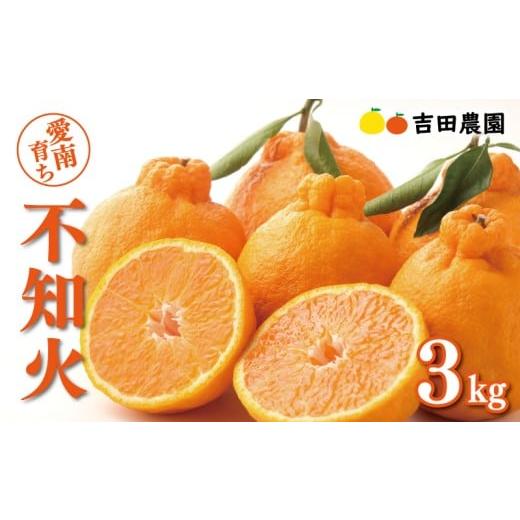 ふるさと納税 みかん・柑橘類 デコポン 愛媛県 愛南町 数量限定 先行予約 不知火 3kg 9000円 みかん しらぬい デコポン と 同品種 mikan 蜜柑 ミカン 産地直送…