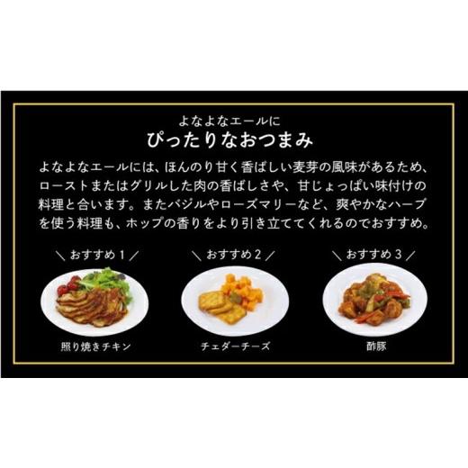 ふるさと納税 ビール 地ビール 長野県 佐久市 よなよなエール（48缶）クラフトビール ヤッホーブルーイング 350ml 缶 びーる エール お酒 さけ BBQ 晩酌の画像