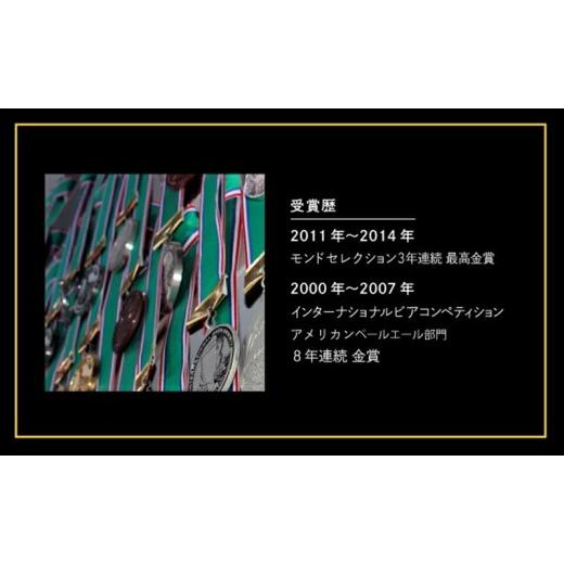 ふるさと納税 ビール 地ビール 長野県 佐久市 よなよなエール（48缶）クラフトビール ヤッホーブルーイング 350ml 缶 びーる エール お酒 さけ BBQ 晩酌の画像