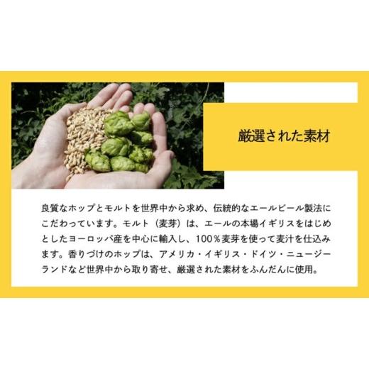 ふるさと納税 ビール 地ビール 長野県 佐久市 インドの青鬼 IPA（48缶）クラフトビール ヤッホーブルーイング 350ml 缶 びーる エール お酒 さけ BBQ 晩酌 ipa…の画像