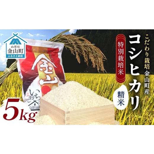 ふるさと納税 米 コシヒカリ 山形県 金山町 令和7年度産 数量限定 特別栽培米 コシヒカリ精米5kg 米 お米 ご飯 ブランド米