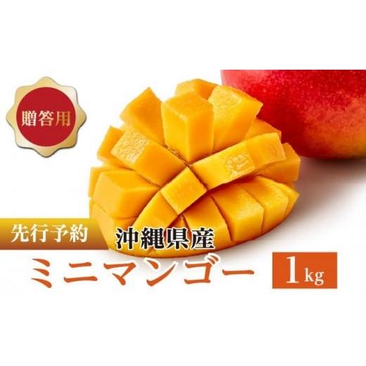 ふるさと納税 マンゴー 沖縄県 南城市 ミニマンゴー1kg 贈答用