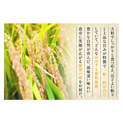 食品 令和7年 能登志賀町産米 30kg コシヒカリ ミルキークイーン