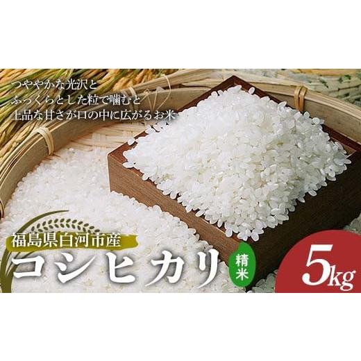 ふるさと納税 米 コシヒカリ 福島県 白河市 令和7年産 コシヒカリ 精米 5kg 米 コメ ごはん ご飯 食品 F24R-227