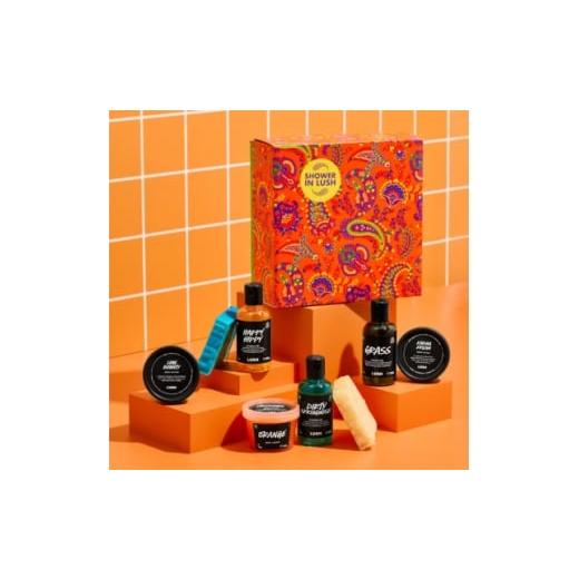 ふるさと納税 美容 入浴剤 神奈川県 愛川町 LUSH (ラッシュ) シャワーイン ラッシュギフト シャワー・ボディケア8種セット 1687711の画像