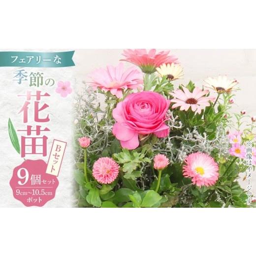 ふるさと納税 雑貨・日用品 花 福岡県 筑前町 フェアリーな花苗セットB 花苗 花苗セット 花 季節の花 花セット ガーデニング 家庭菜園 園芸 初夏 夏 花壇 庭 …