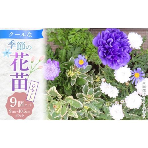 ふるさと納税 雑貨・日用品 花 福岡県 筑前町 クールな花苗セットD 花苗 花苗セット 花 季節の花 花セット ガーデニング 家庭菜園 園芸 初夏 夏 花壇 庭 鉢 玄…