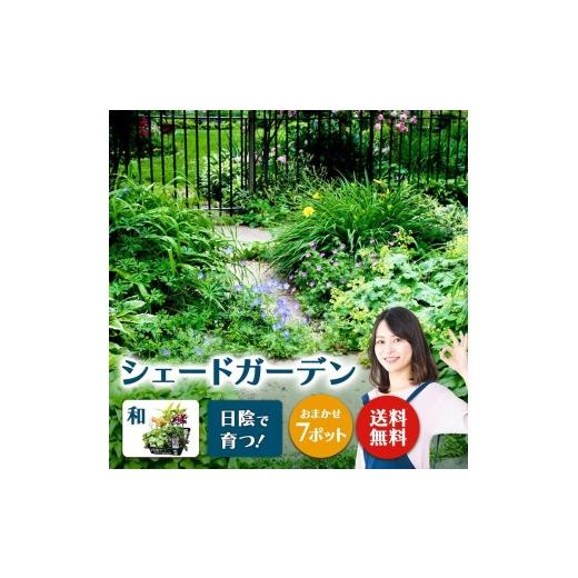 ふるさと納税 雑貨・日用品 花 福岡県 筑前町 日陰で育つシェードガーデン(和風)セット 和風セット
