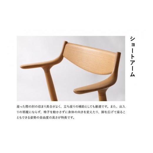 ふるさと納税 家具 インテリア・寝具・収納 広島県 廿日市市 浜本工芸 オーク無垢　ハンギングチェア　DA-7004_6
