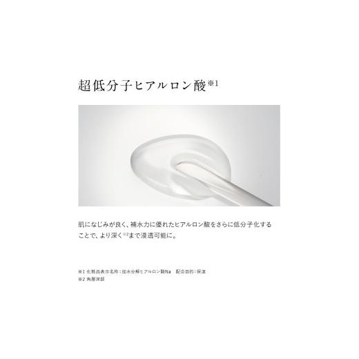 ふるさと納税 美容 乳状液 熊本県 益城町 ドモホルンリンクル うるおい第一義的 保湿液×1本 約60日分 防御すること乳状液×1本 約70日分 再春館製薬所 かざり付ける水 乳状液 スキ…