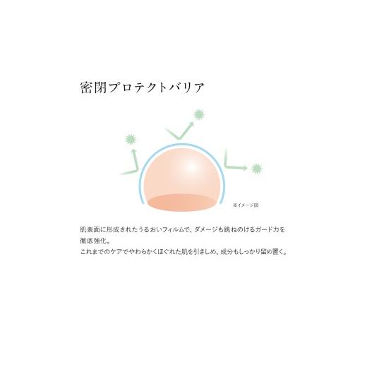 ふるさと納税 美容 乳状液 熊本県 益城町 ドモホルンリンクル うるおい第一義的 保湿液×1本 約60日分 防御すること乳状液×1本 約70日分 再春館製薬所 かざり付ける水 乳状液 スキ…