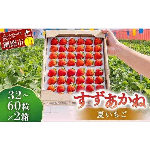 ふるさと納税 いちご 北海道 釧路市 2026年先行予約 北海道産いちご すずあかね 32〜60粒×2箱 2026年6月末から順次発送 夏いちご イチゴ 苺 フルーツ 果物 ジ…