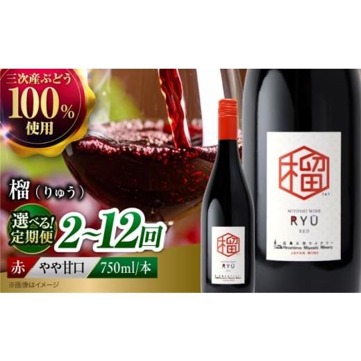 ふるさと納税 ワイン 赤ワイン 広島県 三次市 全2回定期便 赤ワイン 榴 ~りゅう~ RYU 750ml×1本 赤 ワイン ギフト 三次産 ぶどう 葡萄 ブドウ ワインセット …