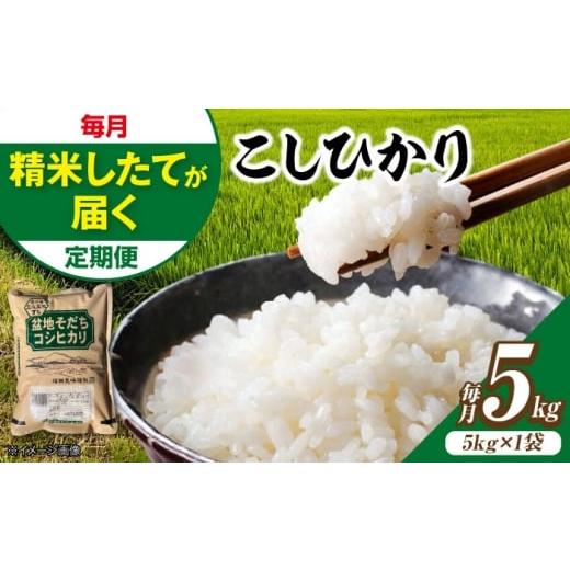 ふるさと納税 米 コシヒカリ 広島県 三次市 単品 スピード発送 米 盆地そだち こしひかり 5kg 令和7年産 5キロ 5kg 白米 お米 ご飯 精米 コシヒカリ ごは…