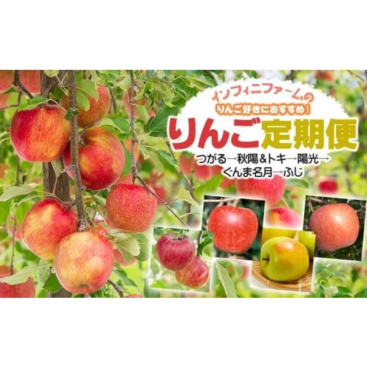 ふるさと納税 りんご 山形県 鶴岡市 令和8年産先行予約 5回定期便 りんご好きにおすすめ インフィニファームのりんご定期便 鶴岡市櫛引産